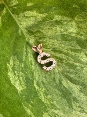 Diamond 'S' Initial Pendant